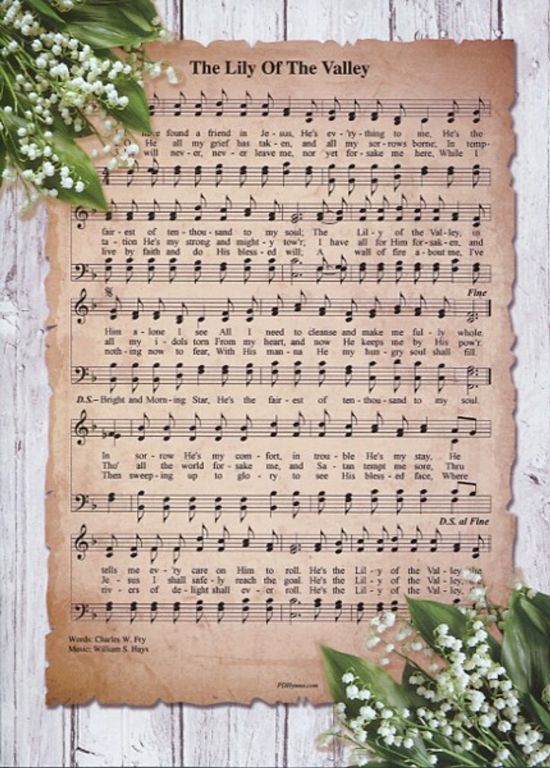 540-0285 Product Image 4