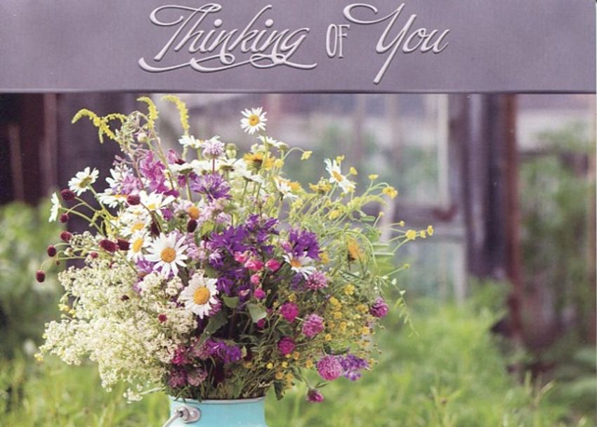 540-0287 Product Image 4