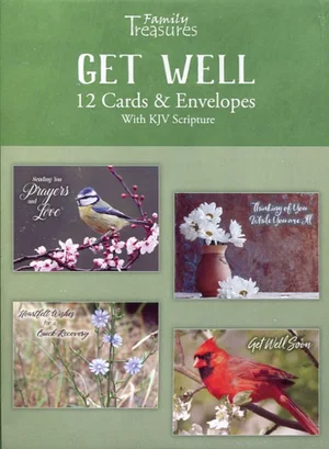 Touch of Color Boxed Get Well Cards