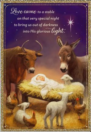 540-0303 Product Image 1