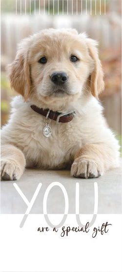 Image of ICare- Adorable Children Birthday Card Package