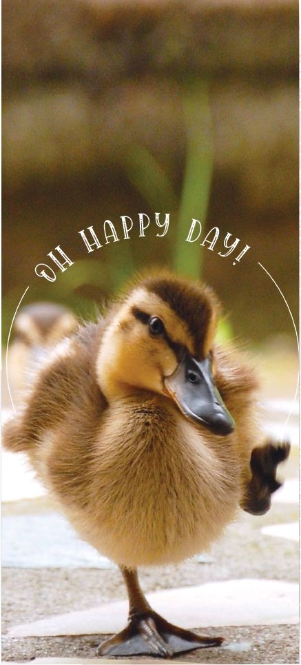 540-0306 Product Image 3