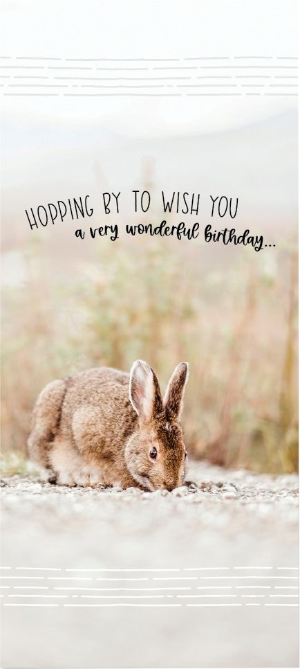 540-0306 Product Image 5