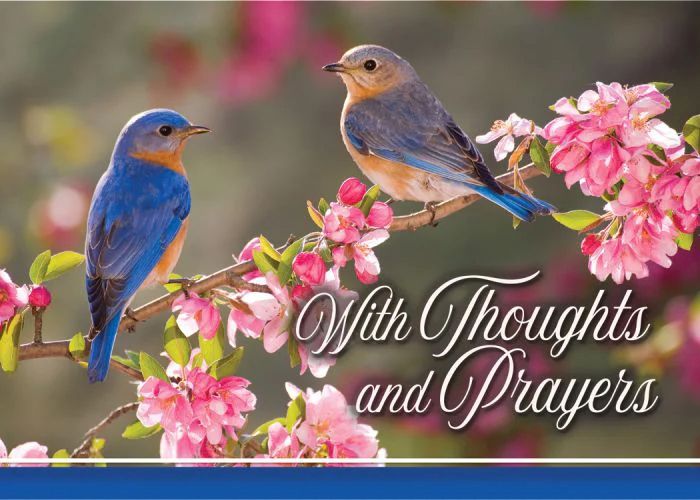 540-0310 Product Image 4