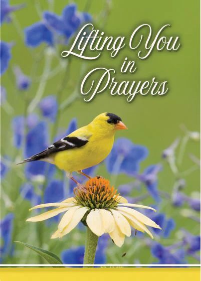 540-0310 Product Image 5