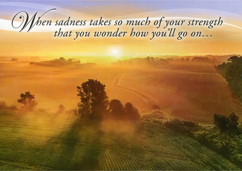 540-0313 Product Image 1