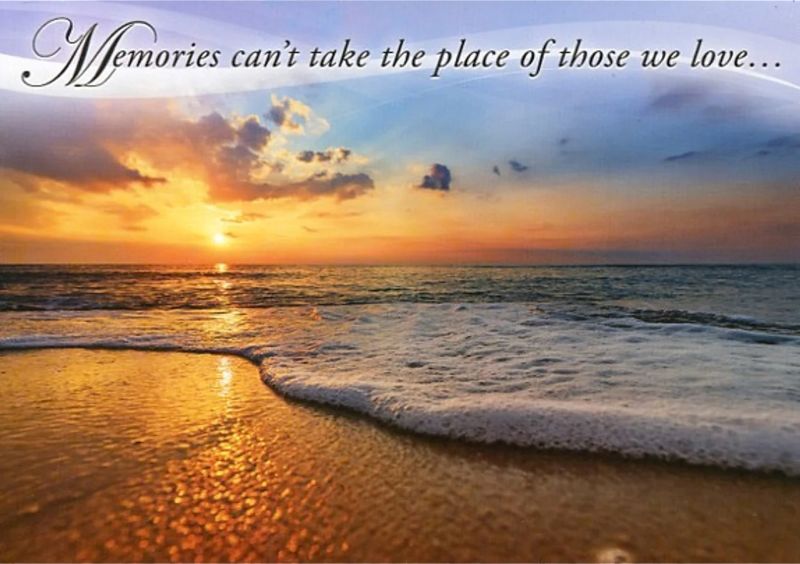 540-0313 Product Image 4