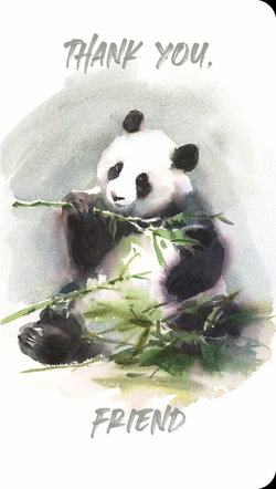Image of Panda Premium Note Cards 3 pk.