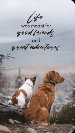 Image of Adventure Friends Premium Note Cards 3 pk.