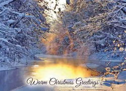 Image of Waterscapes Boxed Christmas Cards 12 pk.