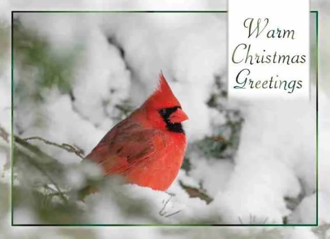 540-0370 Product Image 3