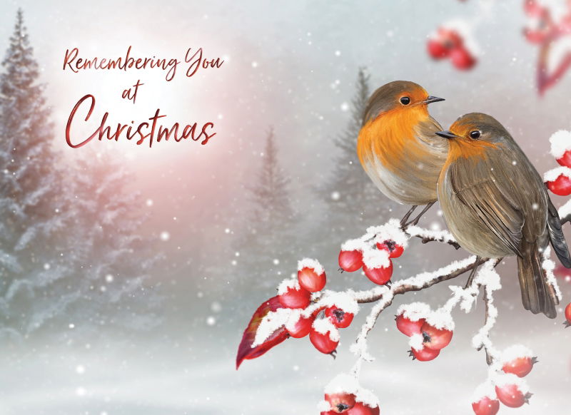 540-0371 Product Image 4