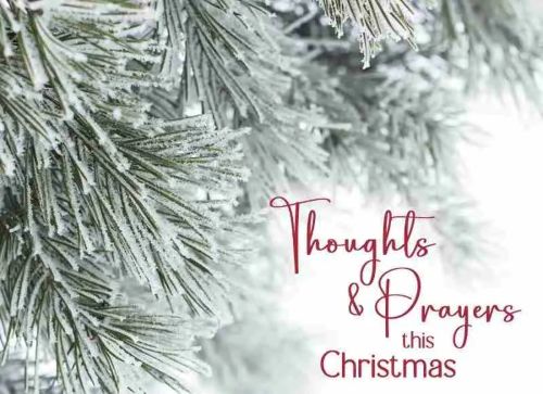 540-0372 Product Image 4