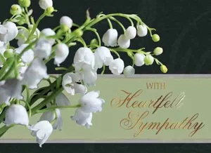 Value Boxed Cards All Occasion
