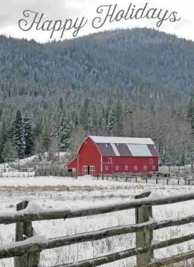 540-0387 Product Image 2