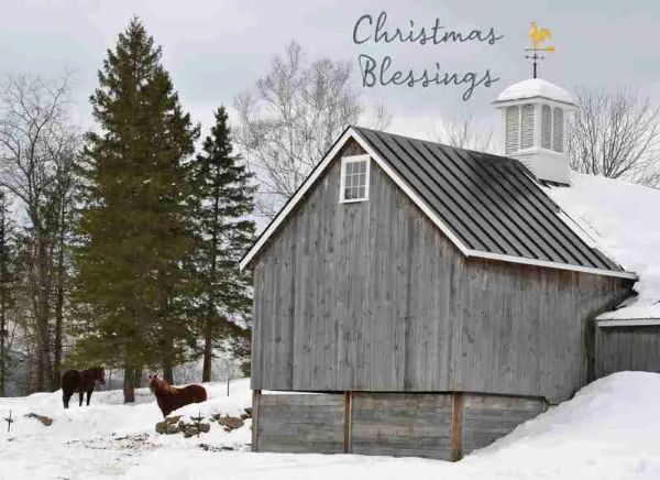 540-0387 Product Image 3