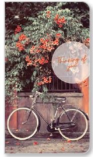 Image of Orange Blossom Premium Note Cards 3 pk.