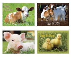 Image of Baby Animals Birthday Boxed Cards