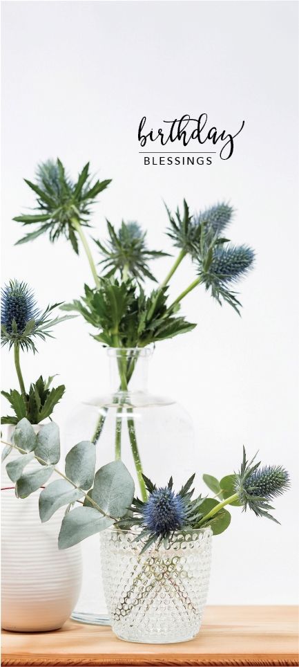 540-0491 Product Image 3