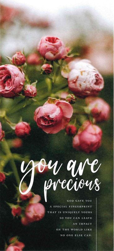 540-0497 Product Image 2