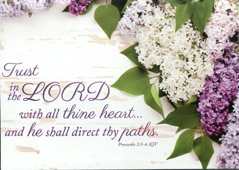 540-0503 Product Image 3