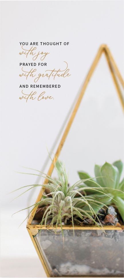 540-0516 Product Image 1