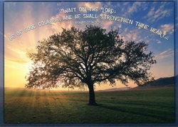 Image of Precious Memories – Boxed Greeting Cards