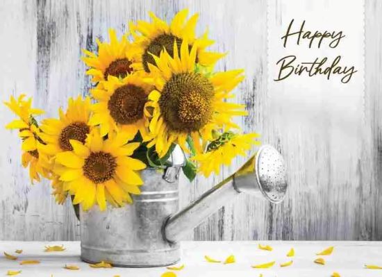 540-0524 Product Image 3