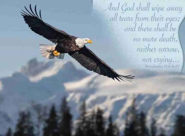 540-0524 Product Image 4