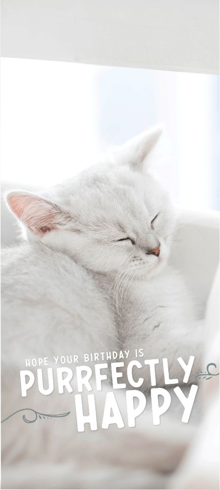 Image of ICare- Blissful Wedding Card Package