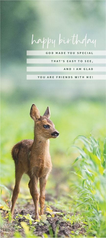 540-0536 Product Image 3