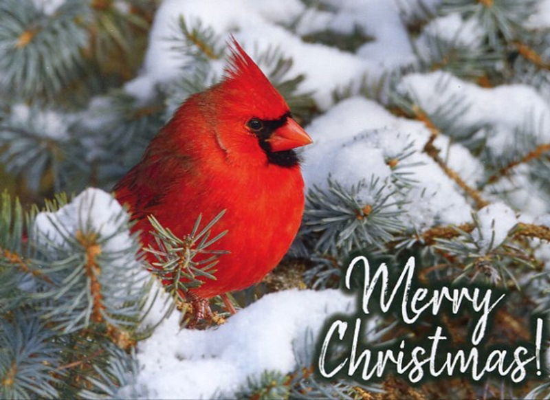 540-0581 Product Image 1