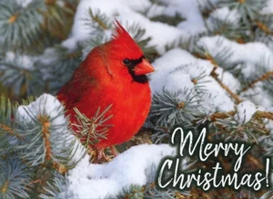 Value Box Christmas Cards 24 pk.