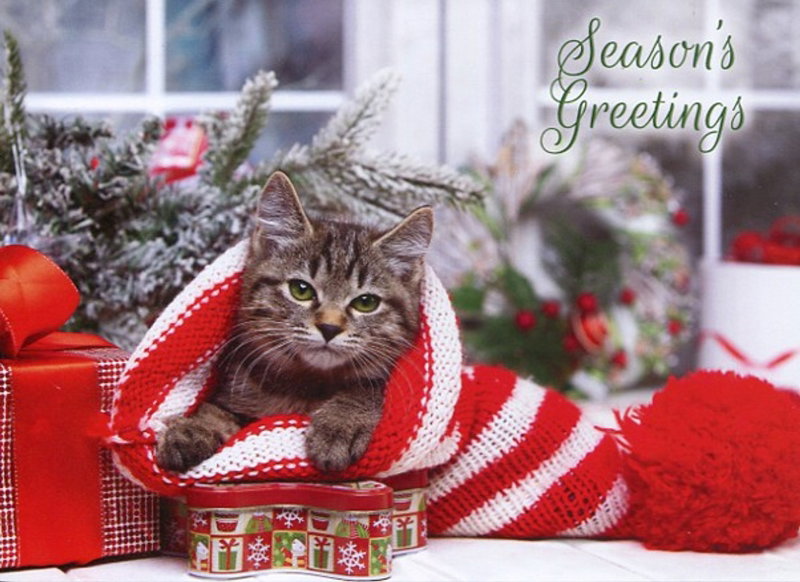 540-0581 Product Image 2