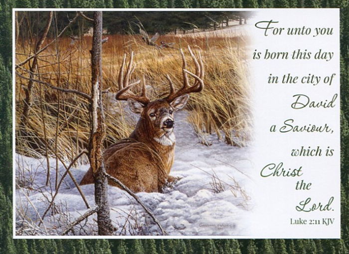 540-0581 Product Image 3