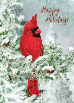 Image of Value Box Christmas Cards 48 pk.