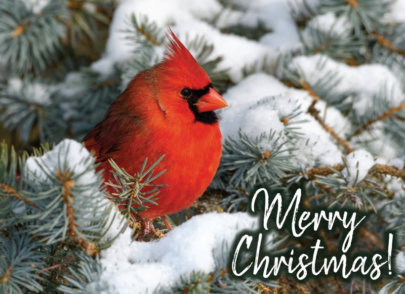 540-0582 Product Image 10