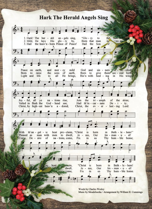 540-0582 Product Image 11