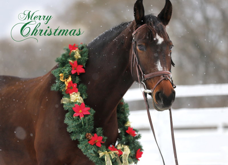 540-0582 Product Image 2