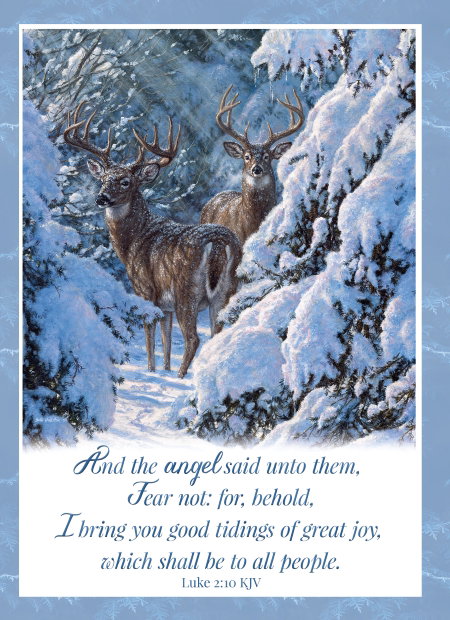 540-0582 Product Image 3