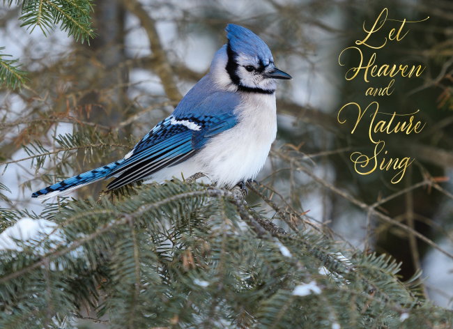 540-0582 Product Image 8