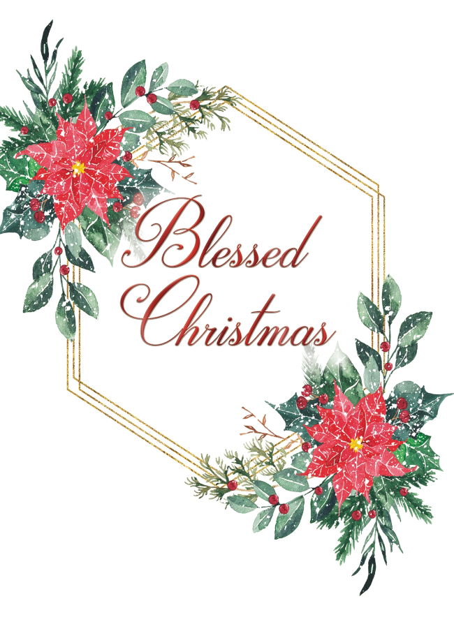 540-0584 Product Image 2