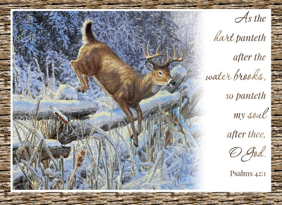 540-0586 Product Image 1