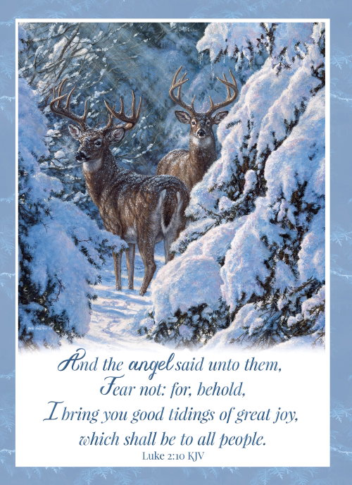 540-0586 Product Image 2