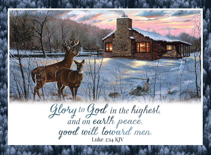 540-0586 Product Image 3