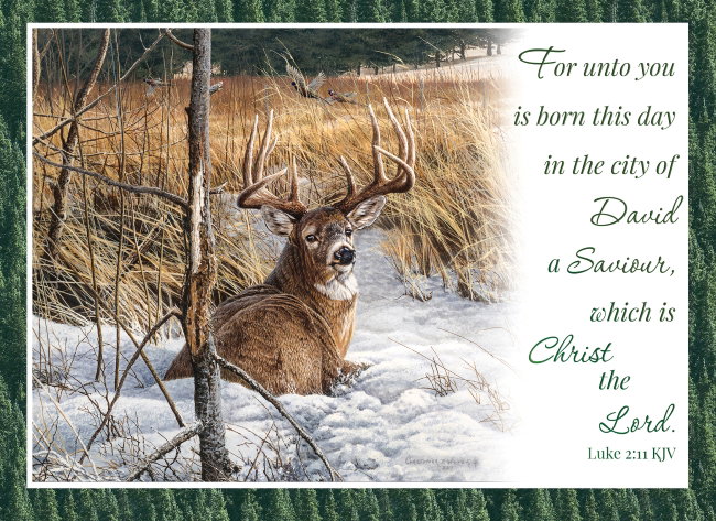 540-0586 Product Image 4