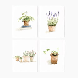 Image of Notecards – Potted Plants Assorted 8pk