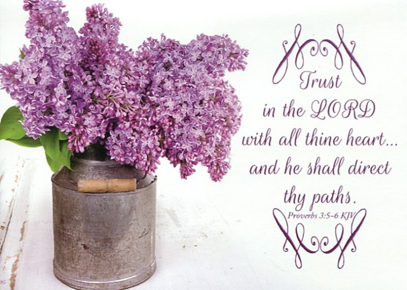 Boxed Encouragement Cards - Trusting in Him