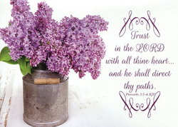 Image of Boxed Encouragement Cards – Trusting in Him