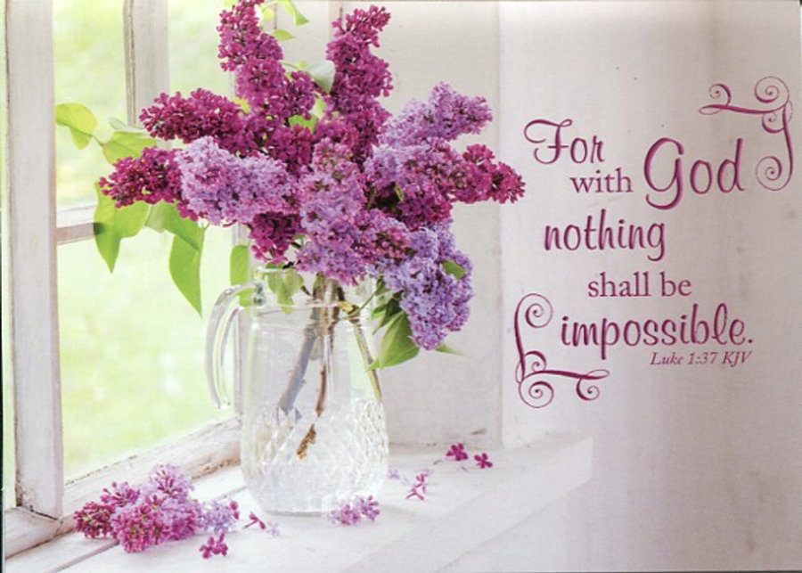 540-0620 Product Image 3